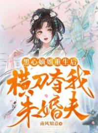 叶霓裳顾长卿叶澜歌小说大结局在线阅读 《黑心嫡姐重生后，横刀夺我未婚夫》小说免费试读