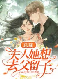 总裁，夫人她想去父留子全文免费试读 安颂伊陆北淮小说大结局无弹窗