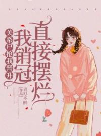关系户抢我晋升我销冠直接摆烂完整版全文阅读 吴晓海林素柔小说 大结局