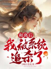 简轻语徐泽小说叫什么_和离后，我被系统追杀了小说