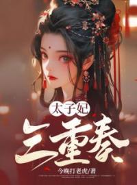《太子妃三重奏》舒和文渊全文阅读