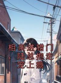 相亲进错门，陆总抱走宠上瘾沈佳佳陆斯奇小说全文阅读