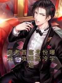 高考首富身份曝光，攻略高冷学姐林寻苏晴李二胖免费在线全文阅读