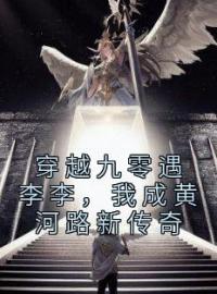 穿越九零遇李李，我成黄河路新传奇完整全文阅读 沈樵李李小说结局无删节