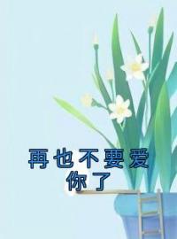 闻笙肖明晨小说大结局在线阅读 《再也不要爱你了》小说免费试读