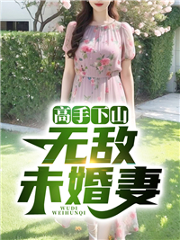 高手下山：无敌未婚妻陈宁沈慕青未删减版全集在线阅读