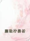 顾晚柠晏析