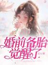 婚前备胎觉醒了