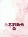 白芯玥陆无焰