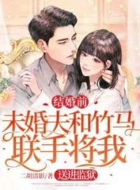 结婚前，未婚夫和竹马联手将我送进监狱小说全集免费在线阅读（陈楠希顾维宸）