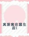 真爱竟在重生后!