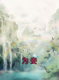 《为妾》沈槐安赵拂小说精彩内容在线阅读