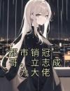 都市销冠一哥，立志成为大佬