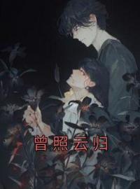 曾照云归全章节免费试读 主角王丛骏梁明月完结版