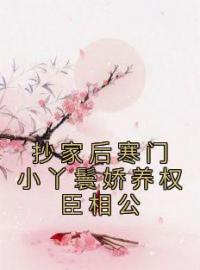 抄家后寒门小丫鬟娇养权臣相公柳巧儿陆云铮小说阅读_抄家后寒门小丫鬟娇养权臣相公文本在线阅读