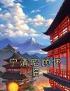 宁清昭顾怀临