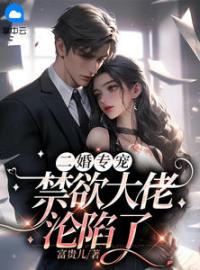 《二婚专宠，禁欲大佬沦陷了》小说全文精彩章节在线阅读（苏沐安傅彦琛）