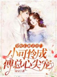 孕吐后被丢出门，小可怜成傅总心尖宠姜早早傅知靳目录_孕吐后被丢出门，小可怜成傅总心尖宠小说阅读