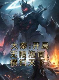 《大秦:开局无限泡面，横扫天下！》小说全集免费在线阅读（黎明王刚）