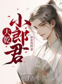 《大乾小郎君》杨小天婉儿全文阅读