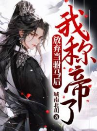 放弃当驸马后，我称帝了江凌沈如烟小说全文免费试读