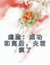 虐渣：成功和离后，夫君疯了
