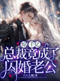 惊！千亿总裁竟成了闪婚老公秦凝沈顾渊小说全文阅读