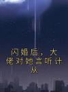 闪婚后，大佬对她言听计从
