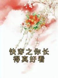 《快穿之你长得真好看》小说全文精彩章节在线阅读（宸惜韩子凌）