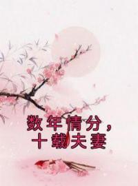 数年情分，十载夫妻完整版全文阅读 沈霜妍谢墨翎小说 大结局