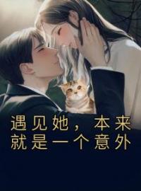 《遇见她，本来就是一个意外》小说最新章节免费试读（完整版未删节）