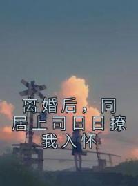 离婚后，同居上司日日撩我入怀季蓁陆屿行小说精彩章节在线阅读