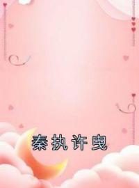 秦执许曳许曳秦执小说全文免费试读