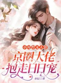 小可怜无人管，京圈大佬抱走日日宠小说全集免费在线阅读（许暖封时宴）