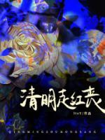 清明走红丧全本资源 淼淼赵叔完整未删减版