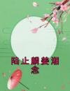 陆止麟姜湘念