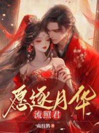 愿逐月华流照君相思陆南禹目录_愿逐月华流照君小说阅读