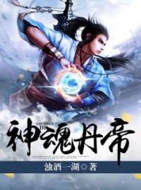 秦朗叶可清小说叫什么_神魂丹帝小说