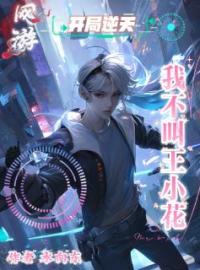 王潇华杨薇薇小说阅读_王潇华杨薇薇小说《网游：开局逆天我不叫王小花》