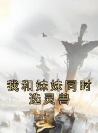 江泉江溪小说叫什么_我和妹妹同时选灵兽小说