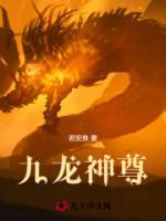 九龙神尊叶轩叶灵儿小说_九龙神尊小说章节