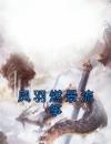 凤羽燃景流筝