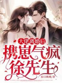 大佬离婚后，携崽气疯徐先生楼藏月徐晏辰小说精彩章节在线阅读