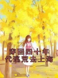 王丽憨丫小说大结局在线阅读 《穿回四十年代逃荒去上海》小说免费试读