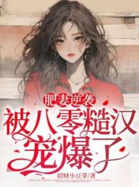 《肥妻逆袭，被八零糙汉宠爆了！》小说全集免费在线阅读（苏半夏江国安）