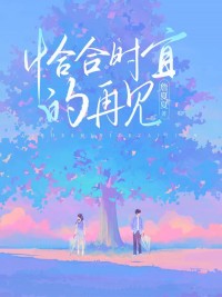 《恰合时宜的再见》小说全集免费在线阅读（周宜秦晏）