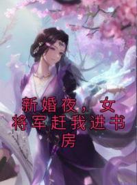 《新婚夜，女将军赶我进书房》小说全文精彩章节在线阅读（李子柒苏紫雪）