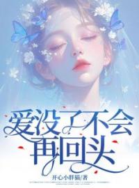 爱没了不会再回头全章节免费试读 主角赵妍宋辞何婉完结版