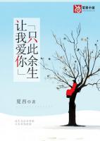 让我爱你只此余生完整版 安凝黎墨白全章节阅读