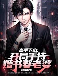 高手下山：开局手持婚书娶老婆小说全文精彩章节在线阅读（陈生徐婉晴）